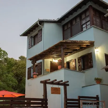 Dandy - Sky Blue Pansy - Jacuzzi