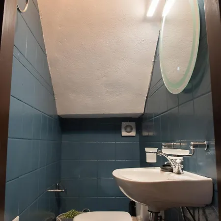 Dandy - Sky Blue Pansy - Jacuzzi