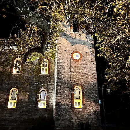 Dandy - Sky Blue Pansy - Jacuzzi * Tsagkarada