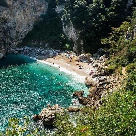 Dandy - Sky Blue Pansy - Jacuzzi