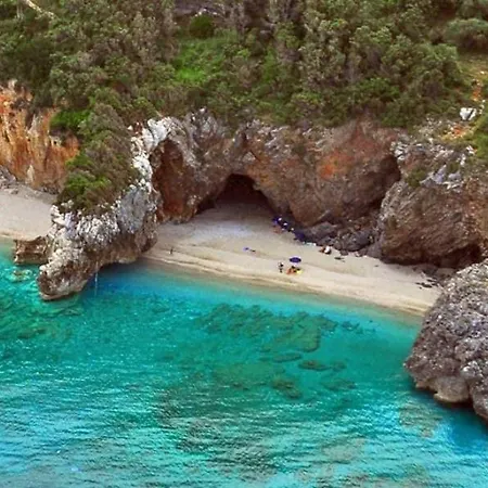 Dandy - Sky Blue Pansy - Jacuzzi Tsagkarada