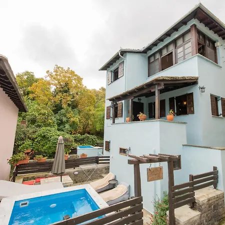 Dandy - Sky Blue Pansy - Jacuzzi *