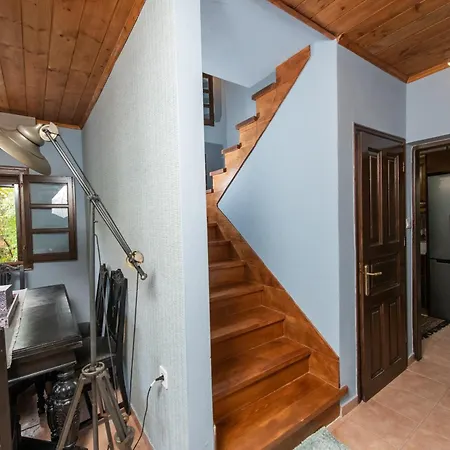 Dandy - Sky Blue Pansy - Jacuzzi Сasa de vacaciones Tsagkarada