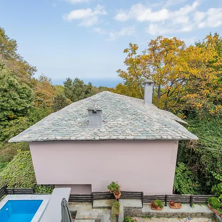 Dandy - Sky Blue Pansy - Jacuzzi * Tsagkarada