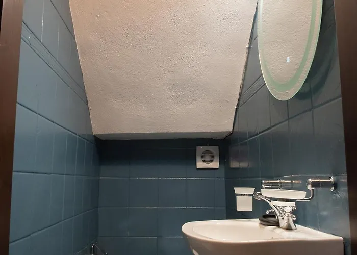 Dandy - Sky Blue Pansy - Jacuzzi