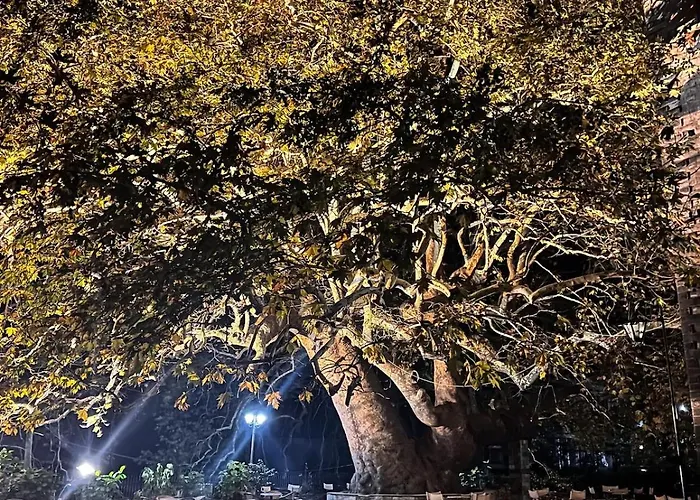 Dandy - Sky Blue Pansy - Jacuzzi * Tsagarada