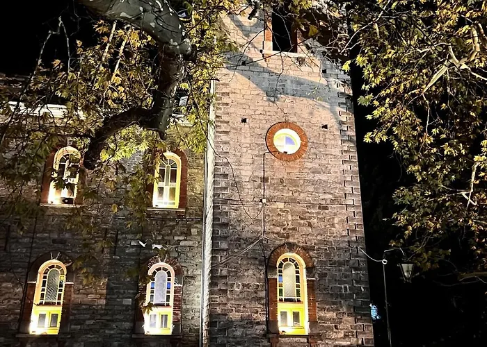 Dandy - Sky Blue Pansy - Jacuzzi * Tsagarada