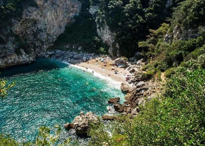 Dandy - Sky Blue Pansy - Jacuzzi