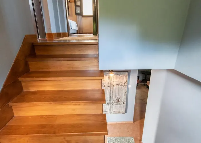 Dandy - Sky Blue Pansy - Jacuzzi * Tsagarada