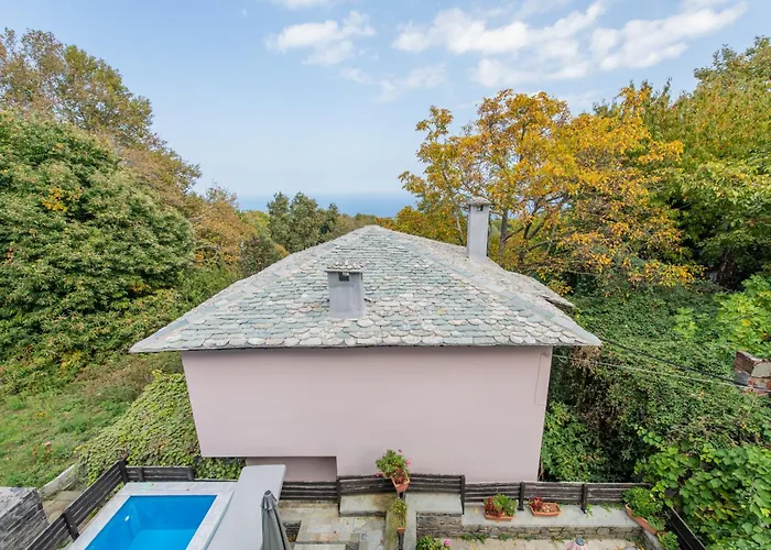 Dandy - Sky Blue Pansy - Jacuzzi * Tsagarada